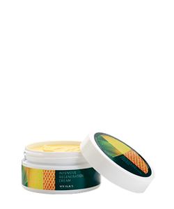 Creme Regenerador Intensivo Aloe Vera